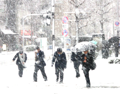 В Японии появились жертвы сильного снегопада