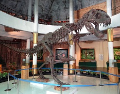 В Париже скелет динозавра ушел с молотка за €2 млн