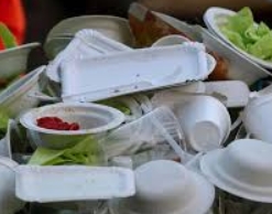 Пластиковая посуда и пакеты могут попасть под запрет