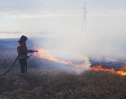 Пожары в Забайкалье охватили больше 100 тыс. га