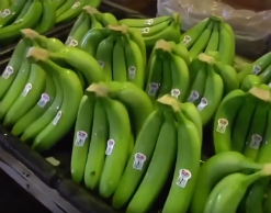 Два банана в день избавят от лишнего веса и болезней