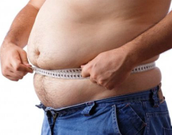 Ученые открыли ген толстого живота