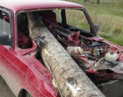 В Прикамье водитель проткнул машину деревом