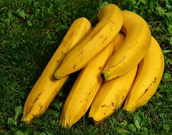 Не фрукт мечты: выяснилось, чем вредны бананы