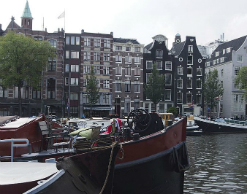 В центре Амстердама нашли отрезанную голову