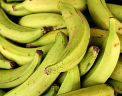 Медики: бананы — прекрасная защита от атеросклероза