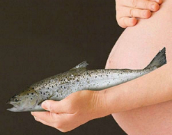 Беременным надо есть по 260 граммов рыбы в неделю