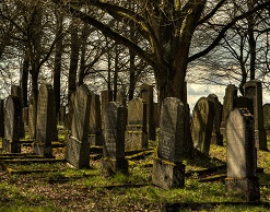 Аферисты продавали бесплатные места на кладбище