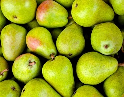 Диетологи: груша - идеальный фрукт для похудения