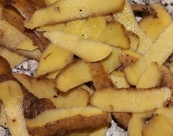 Ученые рассчитали здоровую «дозу» жареной картошки