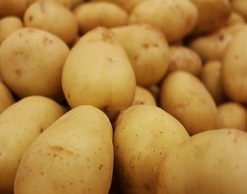 Врачи: молодой картофель сохранит кишечник здоровым