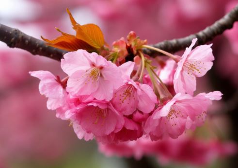 ЧТО ДЕНЬ ГРЯДУЩИЙ НАМ ГОТОВИТ?