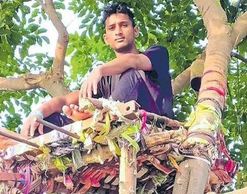 Индиец самоизолировался на дереве, чтобы спасти семью