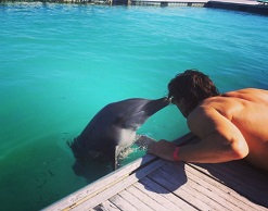 Малахов, чтобы быть в тонусе, целует дельфинов по утрам