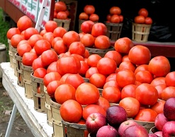 Яблоки и помидоры способны оздоровить легкие