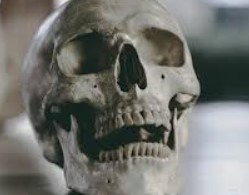 На балконе у московской пенсионерки нашли скелет