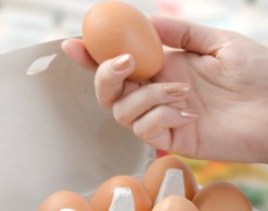 Яйца, молоко и орехи: названы 3 продукта для долголетия Яйца, молоко и орехи: названы 3 продукта для долголетия
