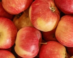 Врач предупредила о яблочной угрозе для здоровья