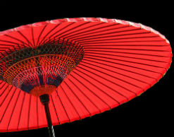 Томские ученые создали "зонт" от инсультов