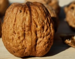 Пусть депрессии достанется на орехи: совет ученых из США