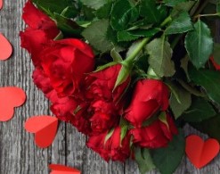 Розы к 14 февраля подорожают «рубля на три»