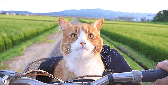 bd5345ec7d0ffae416f7ade3bd26f6b0.gif bd5345ec7d0ffae416f7ade3bd26f6b0.gif